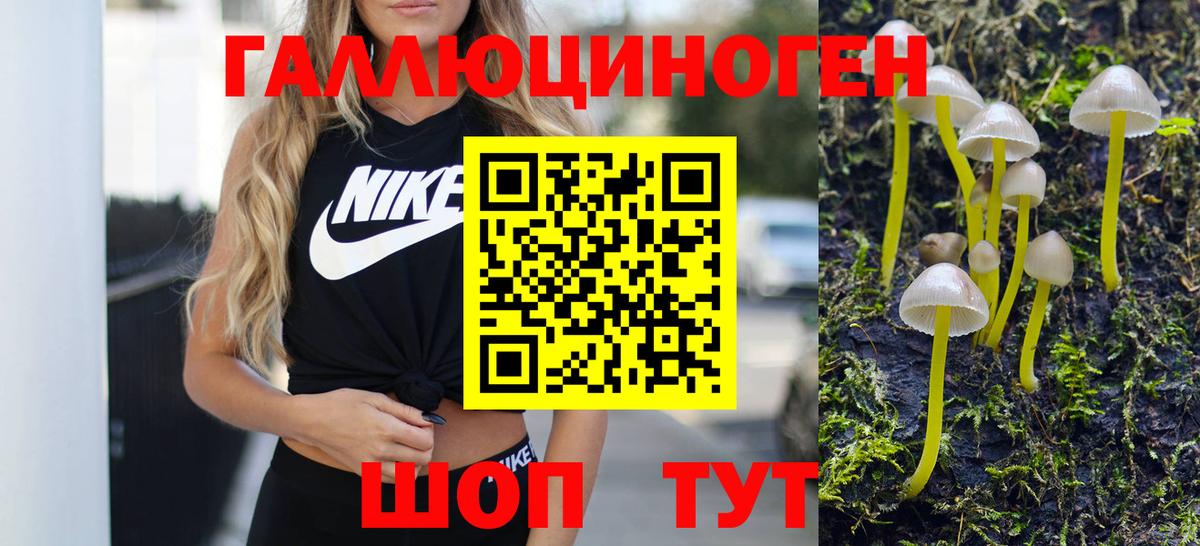 Ачхой-Мартан  Галлюциногенные грибы Magic Shrooms  Вход с VPN 